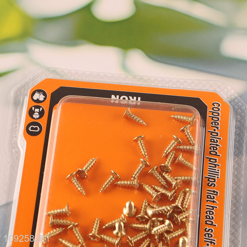 Good Quality 70 Pieces Self Tapping Screw Set Iron Self Tapping Screws Set