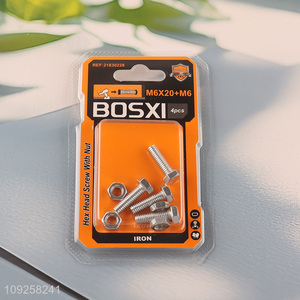 Factory Supply 4 Pieces M6 Iron Screws and Nuts Set Hardware Assortment Kit