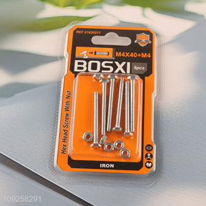 China Wholesale 6 Pieces M4 Iron Screws and Nuts Set Hardware Assortment Kit