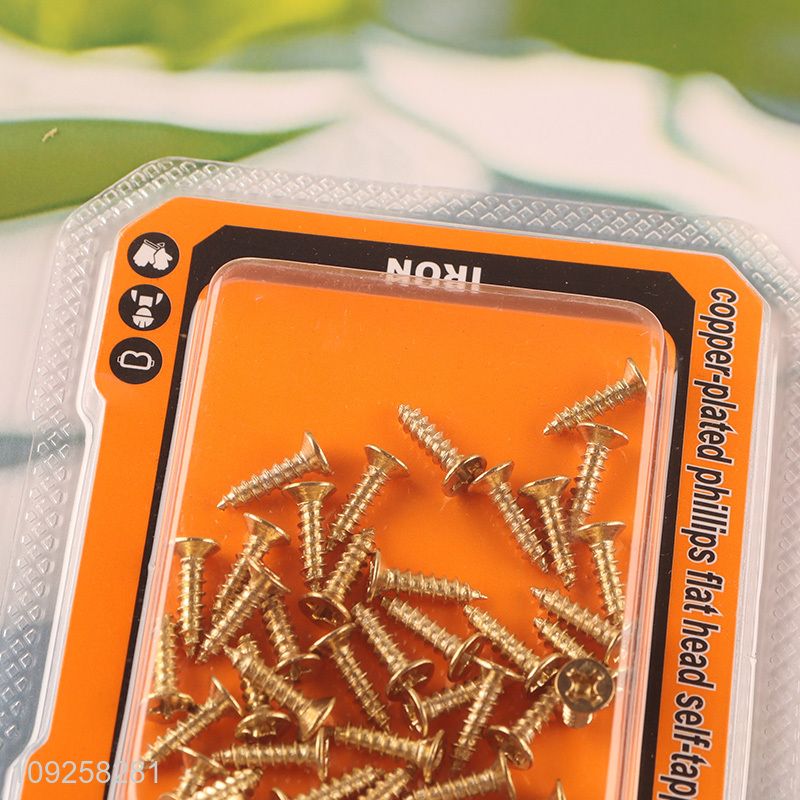 High Quality 40 Pieces Self Tapping Screw Set Iron Self Tapping Screws Set