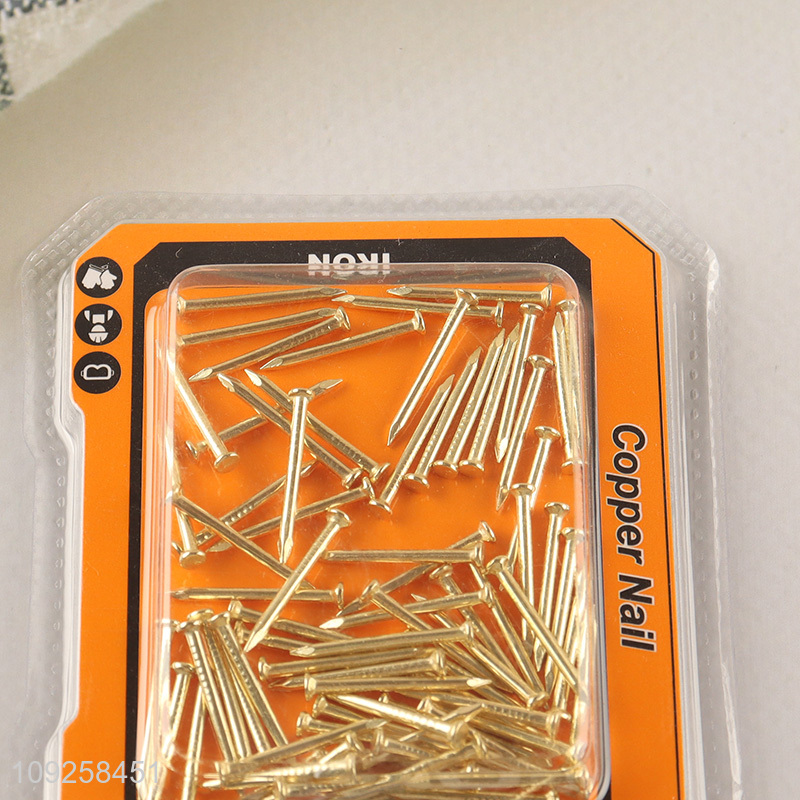 Factory Wholesale Iron Nails for Indoor Outdoor Woodworking Construction Site