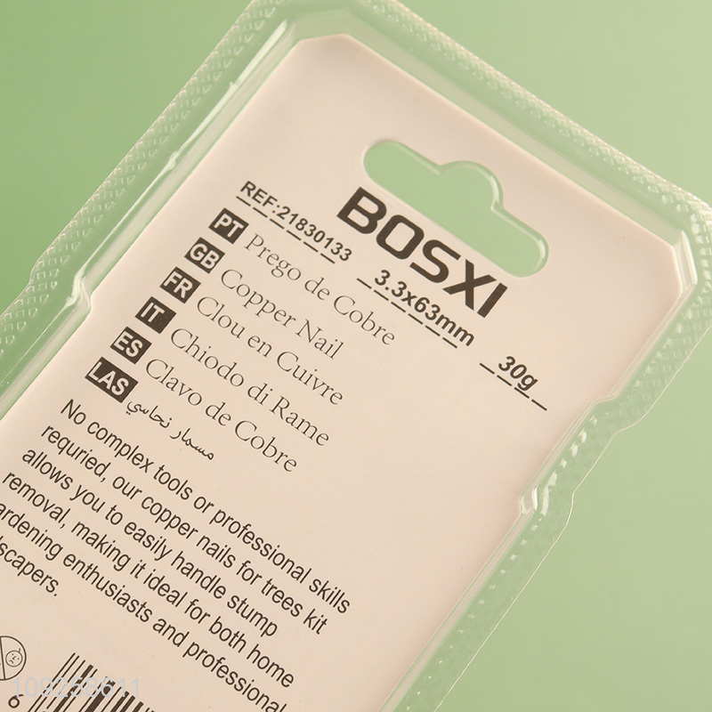 New Arrival 9PCS Iron Nails for Indoor Outdoor Woodworking Construction Site