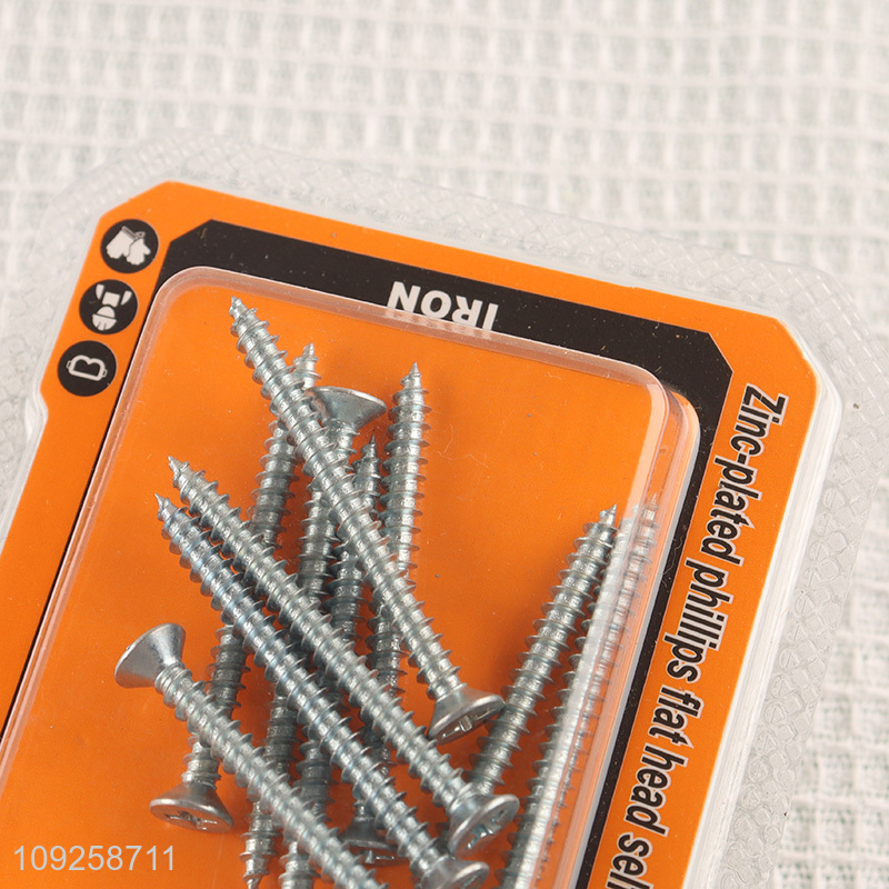 Good Quality 10 Pieces Self Tapping Screw Set Iron Self Tapping Screws Set