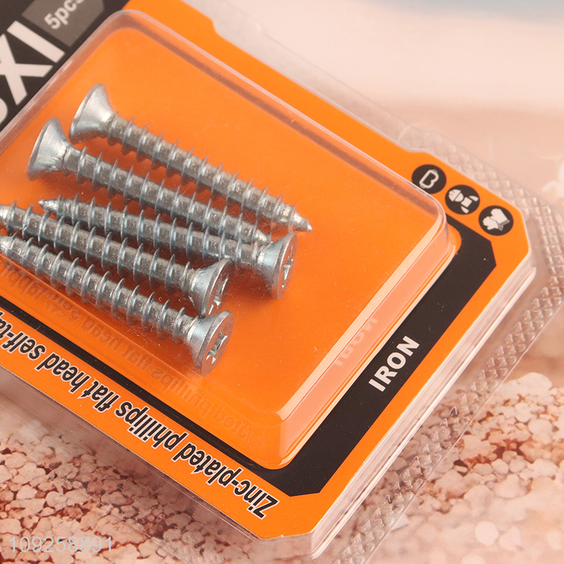 Good Quality 5 Pieces Self Tapping Screw Set Iron Self Tapping Screws Set