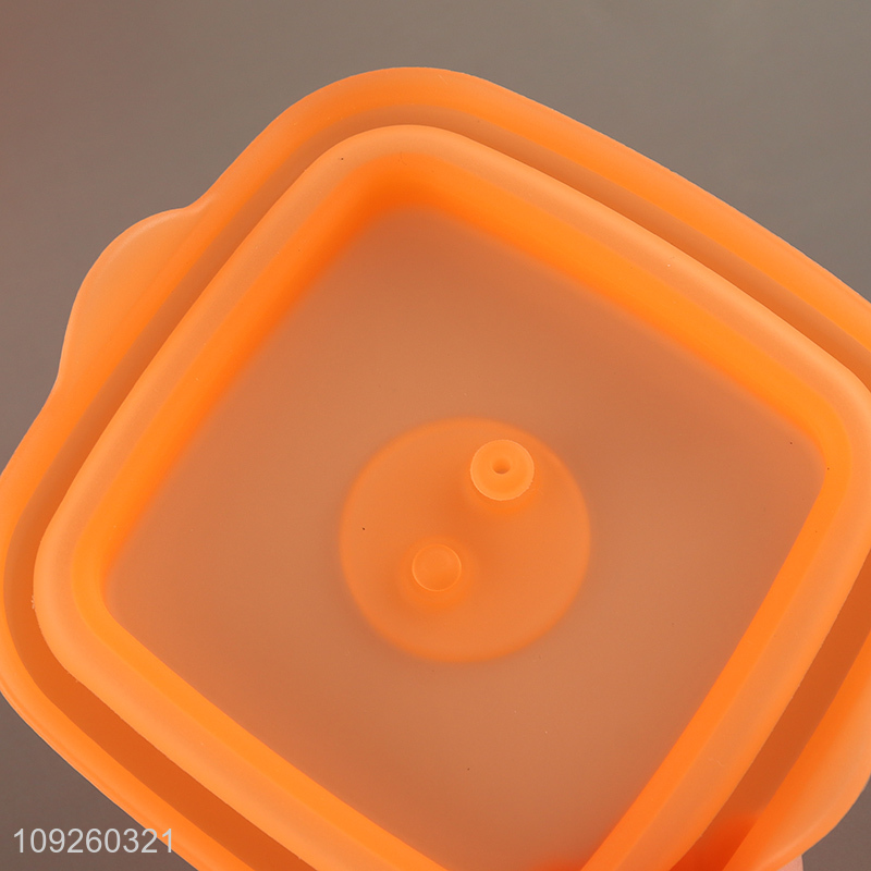 Good Quality Silicone Food Storage Container Small Silicone Lunch Box