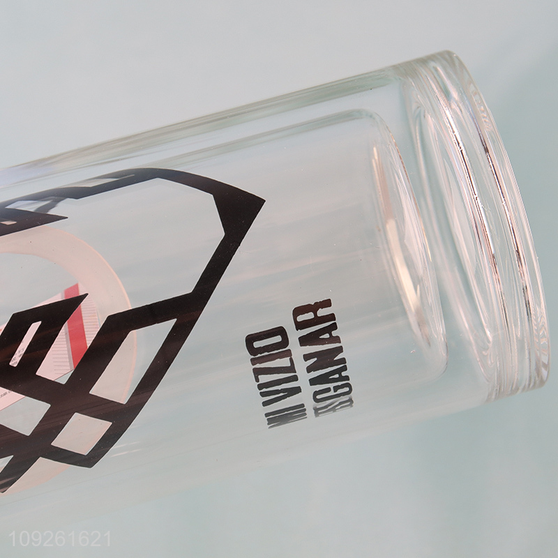 Wholesale 320ML Portable Double Wall Glass Water Bottle with Handle