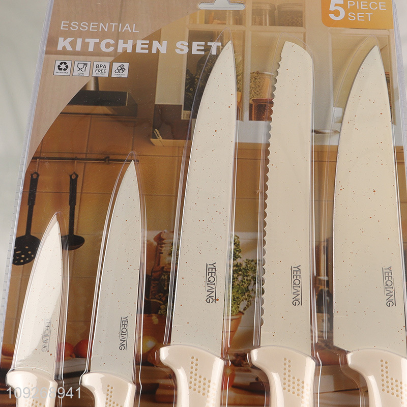 China Wholesale 5 Pieces Stainless Steel Multi-Purpose Kitchen Chef Knives Set