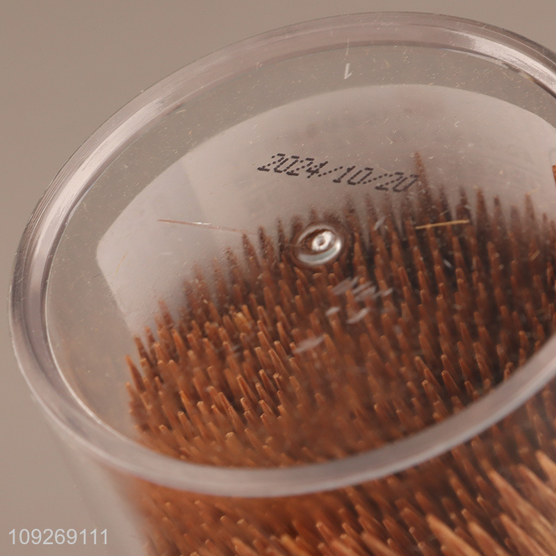 Hot products 550pcs disposable carbonized bamboo toothpicks with holder