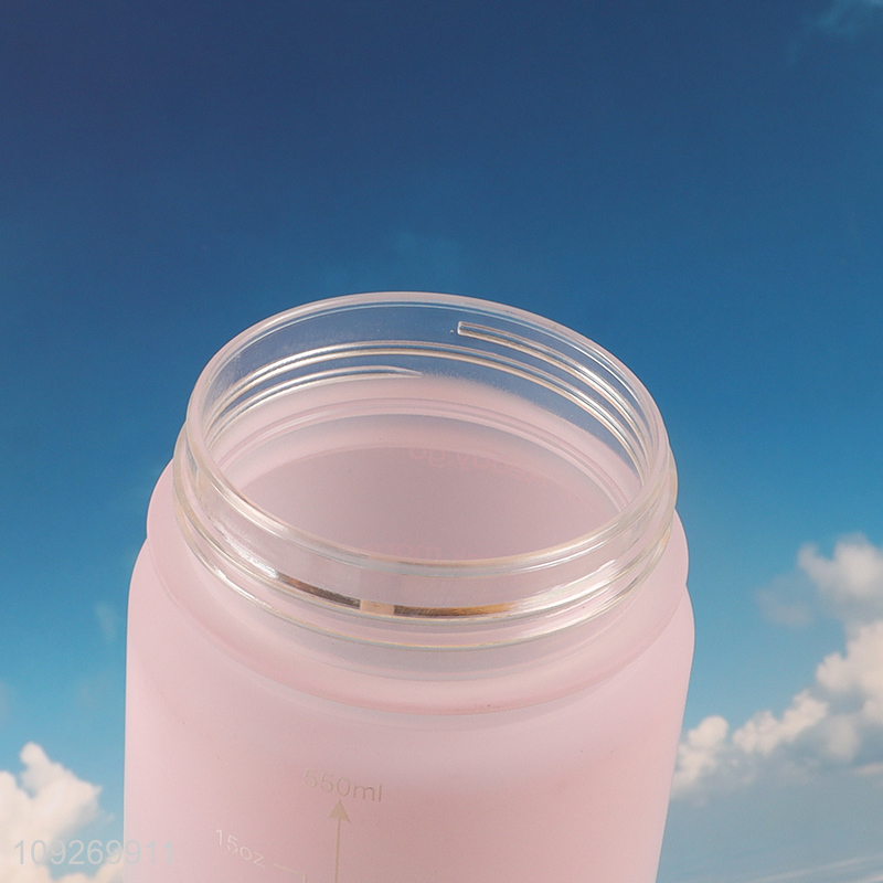 Good Quality 550 750 1000ML Plastic Water Bottle Custom Logo Portable Water Bottle