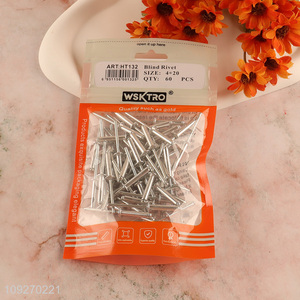 High quality professional 60pcs 4*20mm blind rivet hardware iron nail