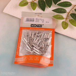 China supplier 5*20mm 40pcs blind rivet hardware iron nail set