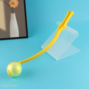 New arrival outdoor pet interactive pet throwing ball toys