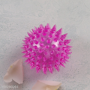 China wholesale indoor outdoor pet interactive toys pet ball toys