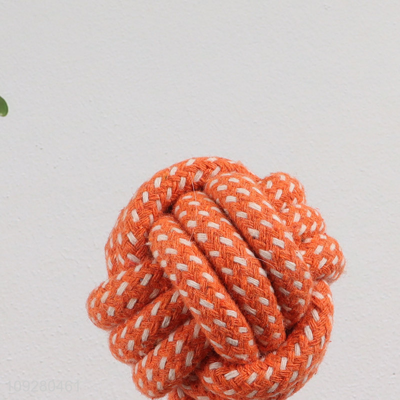 Good quality bite-resistant pet chew toys teething toys