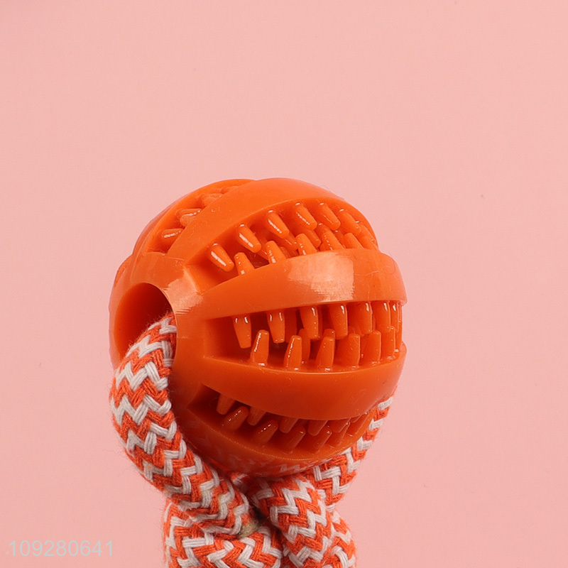 Yiwu market pet chew toys teething toys pet cotton rope toys