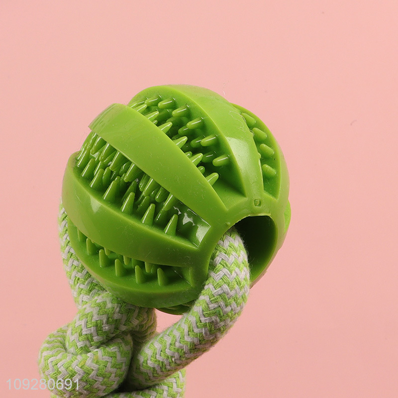 Good quality bite-resistant pet chew toys interactive toys for sale