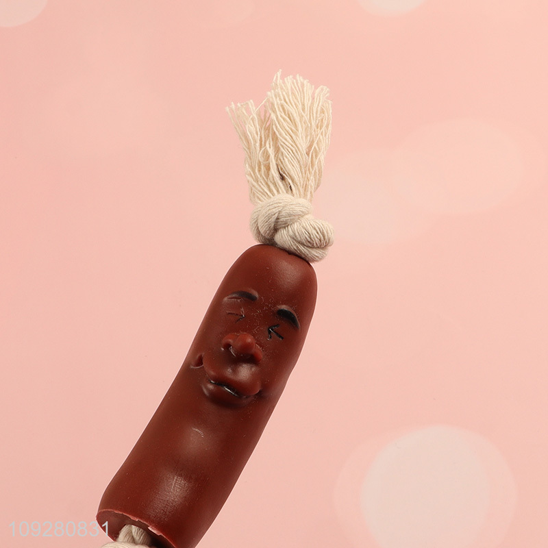 Latest products pet chew toys teething toys pet interactive toys