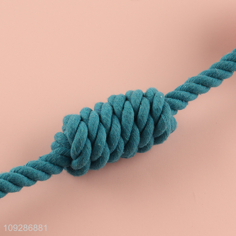 Popular products bite-resistant pet chew toys teething toys