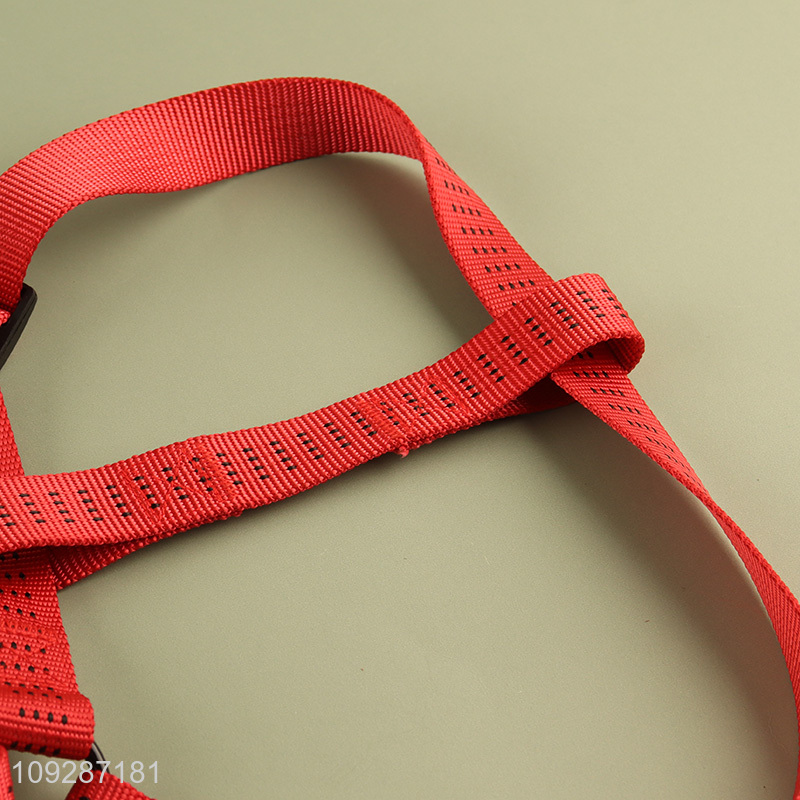 Good selling outdoor adjustable pet collar pet leash