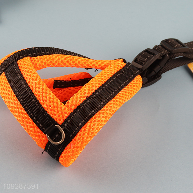 Good selling outdoor pet collar pet leash with non-slip handle