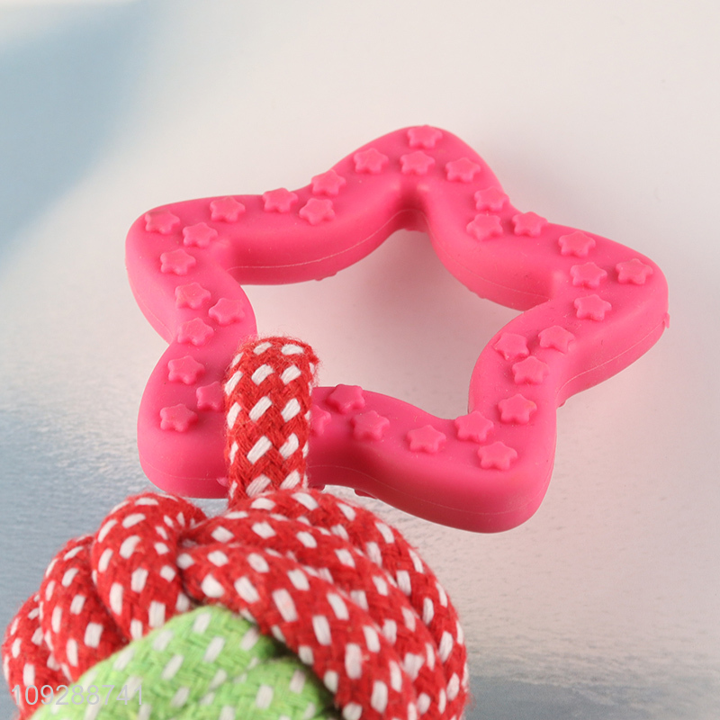 China wholesale bite-resistant pet chew toys teething toys