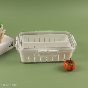 Best selling Household Fridge Vegetable Crisper Coriander Storage Box